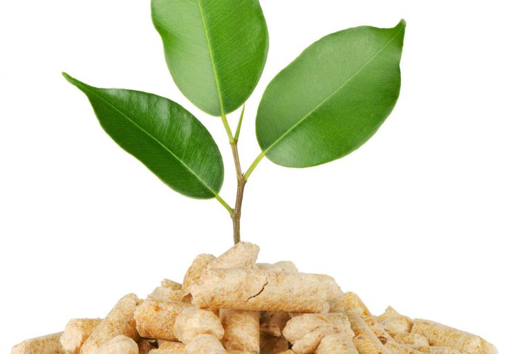 biomass supply chain