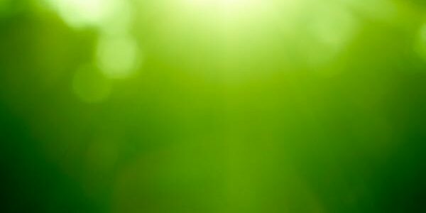 acronyms in VCMs and carbon markets