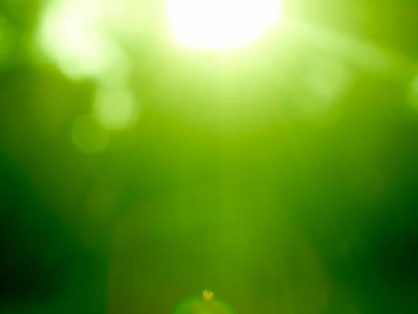 acronyms in voluntary carbon markets acronyms in VCMs and carbon markets