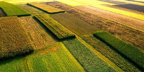 a multi-commodity agricultural ctrm