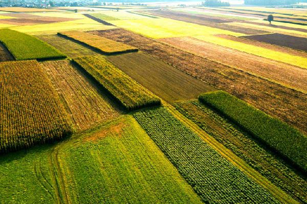 a multi-commodity agricultural ctrm