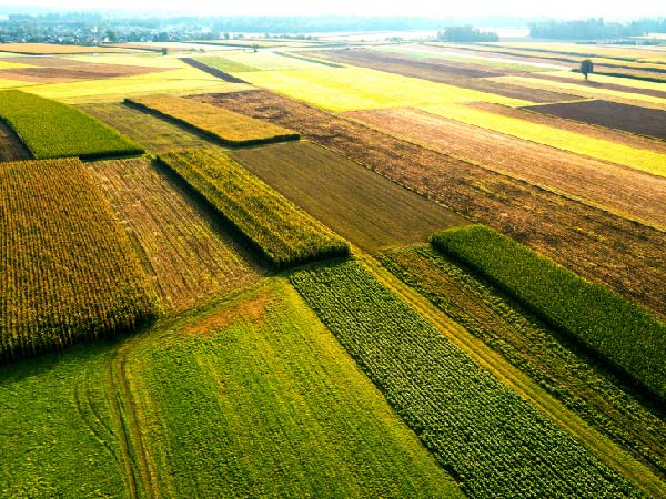 ags and softs ctrm 2 a multi-commodity agricultural ctrm