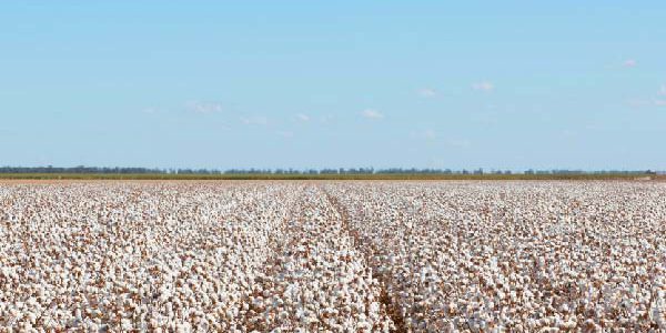 operations for ags and softs ctrm