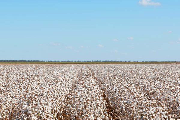 operations for ags and softs ctrm