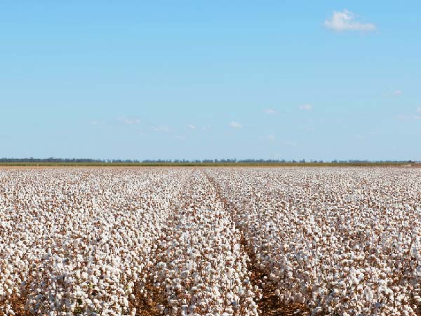 ags and softs ctrm operations operations for ags and softs ctrm