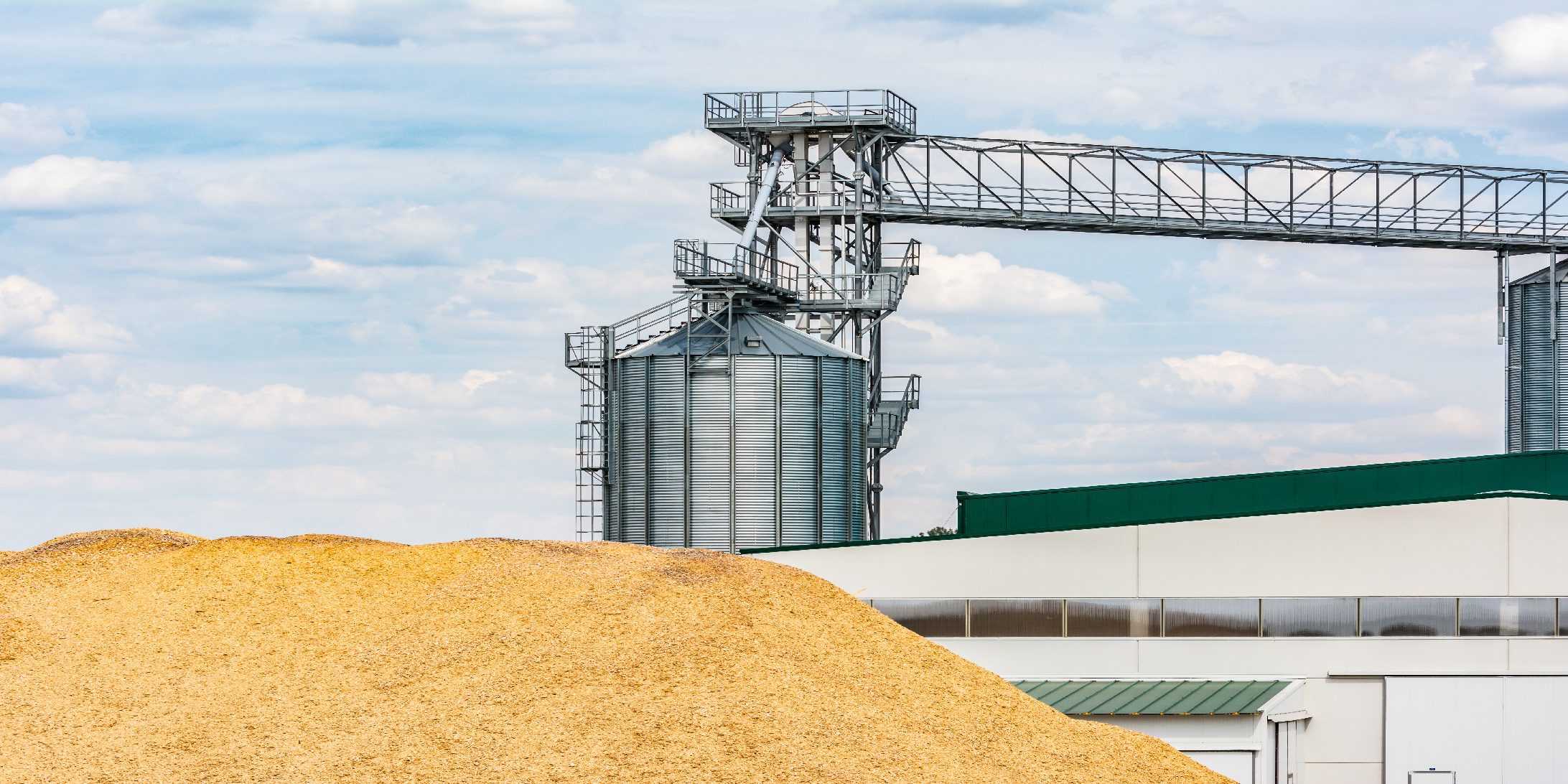 biomass ctrm software