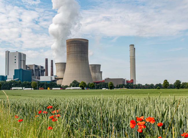 power plant contract manager