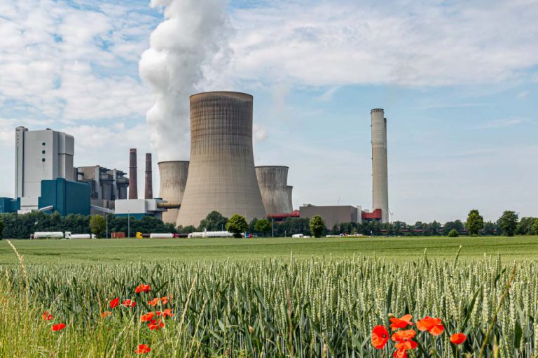 power plant contract manager