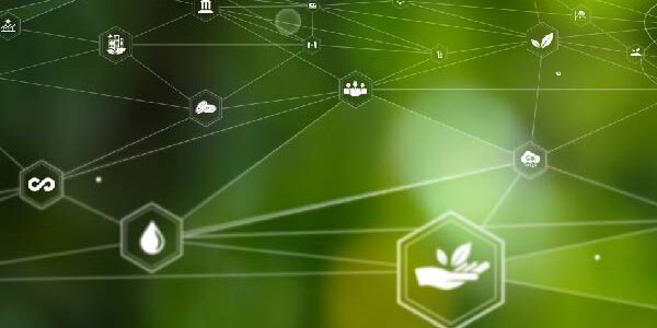 carbon accounting in commodity trading