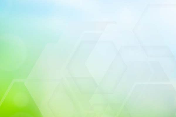 Preparing for carbon markets