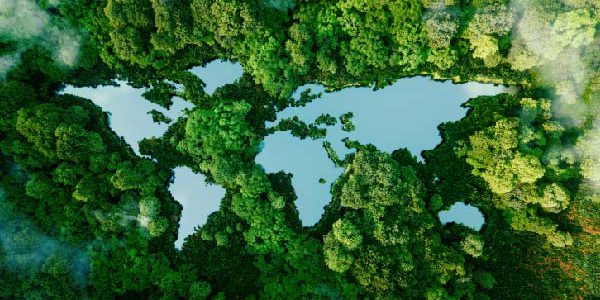 Are you ready to manage and trade carbon credits?