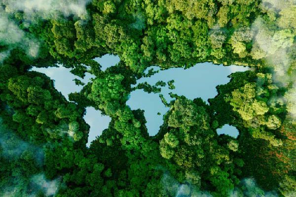 Are you ready to manage and trade carbon credits?