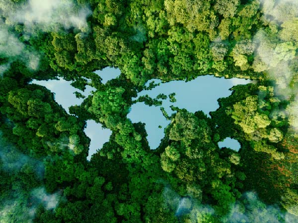 Are you ready to manage and trade carbon credits?