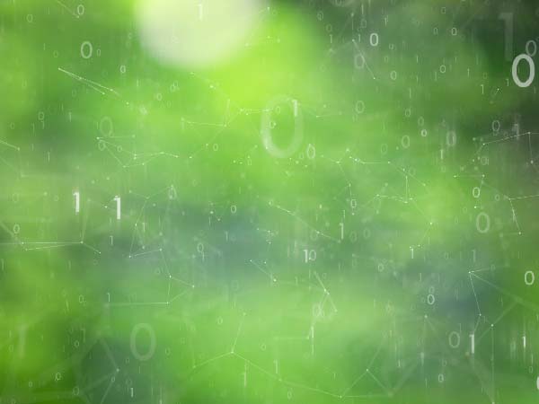 carbon pricing software