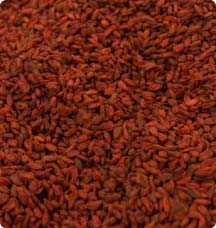 cocoa commodity management cocoa ctrm