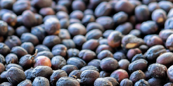 commodity management and traceability in cocoa