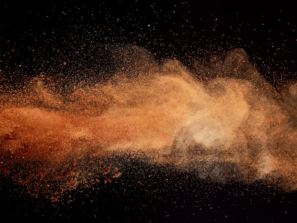 cocoa trading commodity management commodity management in cocoa trading