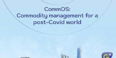 commodity management and ctrm