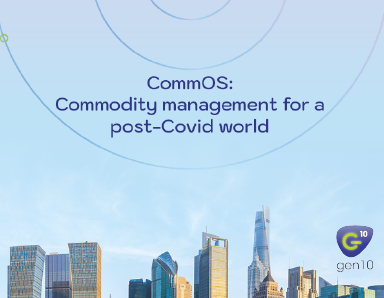 commodity management and ctrm