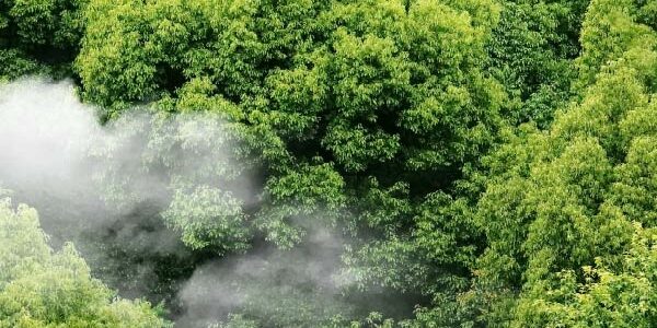 what cop28 will mean for commodity traders