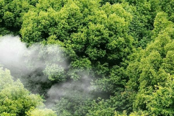 what cop28 will mean for commodity traders