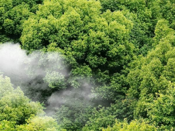 what cop28 will mean for commodity traders