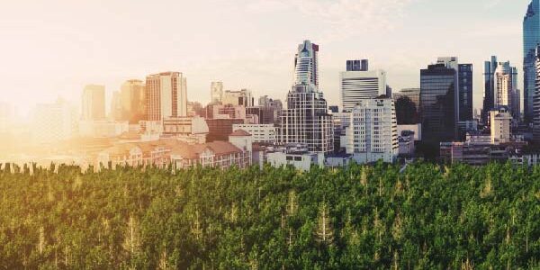 how to track corresponding adjustments