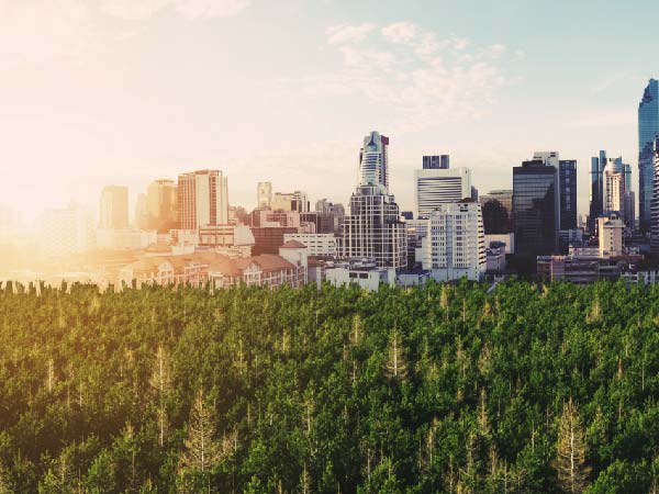 how to track corresponding adjustments