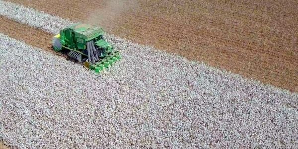 Cotton logistics can't be managed by a generic CTRM