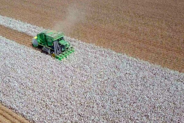 Cotton logistics can't be managed by a generic CTRM