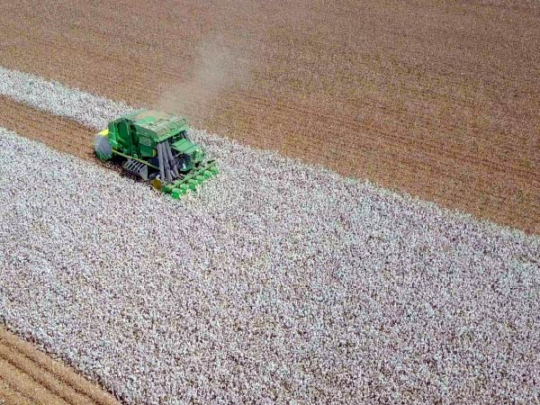 Cotton logistics can't be managed by a generic CTRM