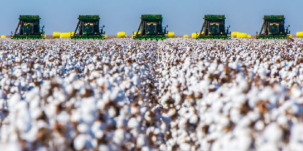 managing data in cotton trading