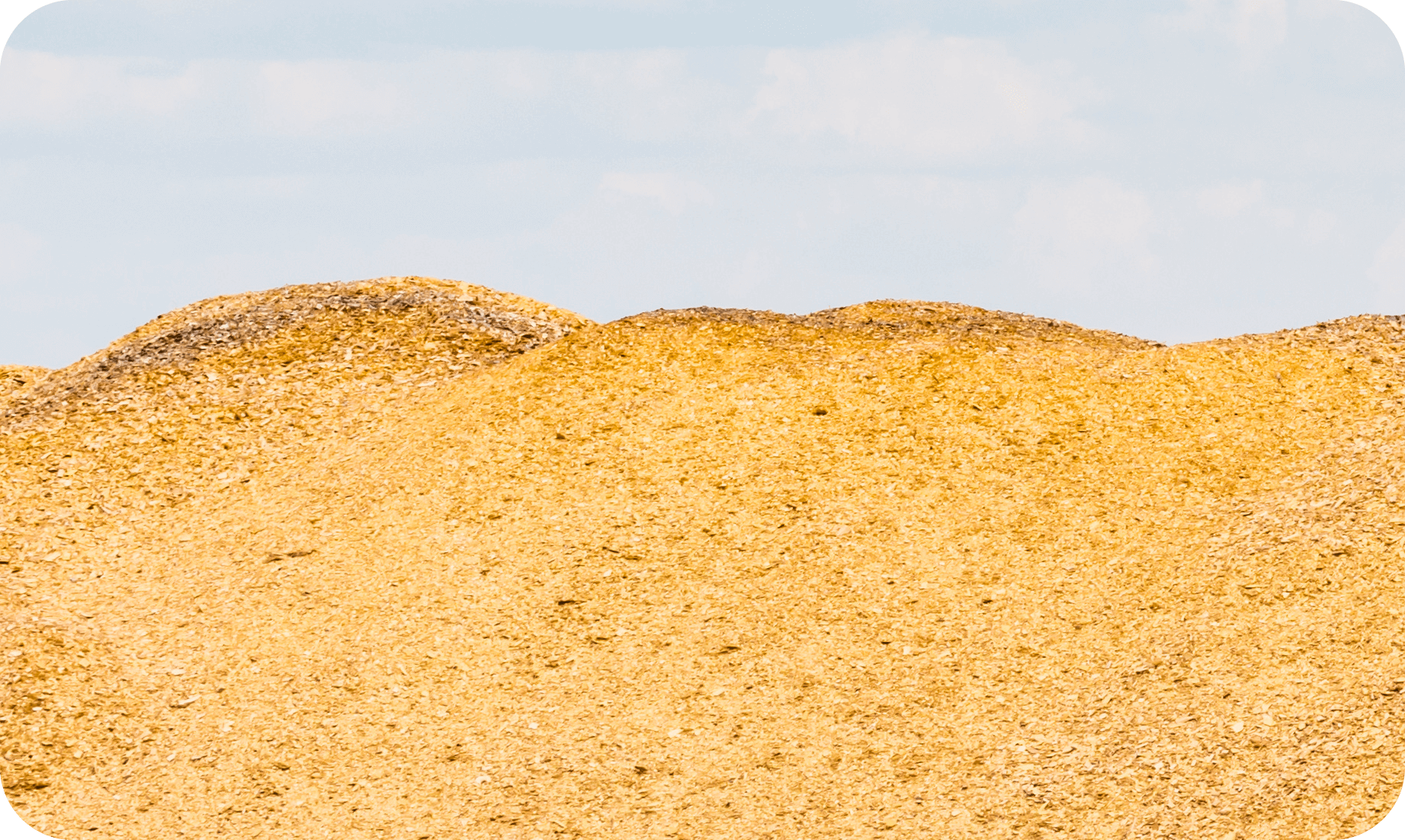 ctrm biomass-01 biomass ctrm