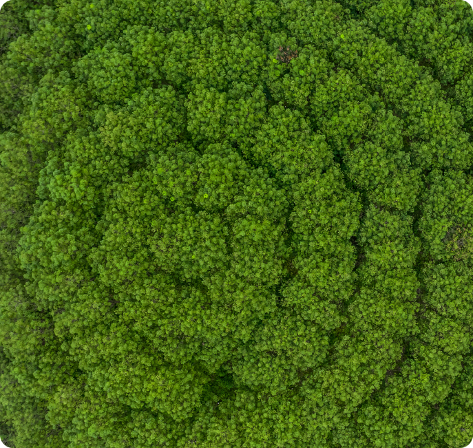 ctrm polymers-01 ctrm polymers