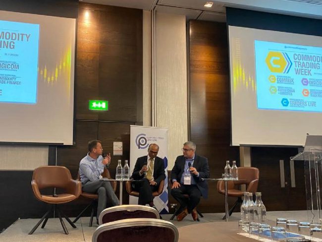 ESG the risk manager's perspective