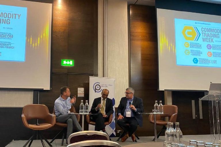 ESG the risk manager's perspective