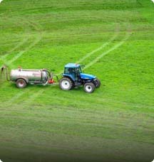 fertilizer commodity management Fertilizers CTRM