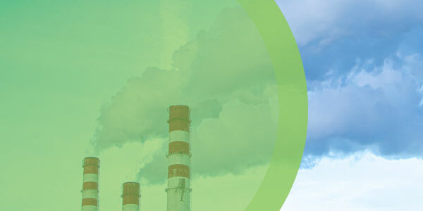 traceability in commodity trading protects against greenwashing