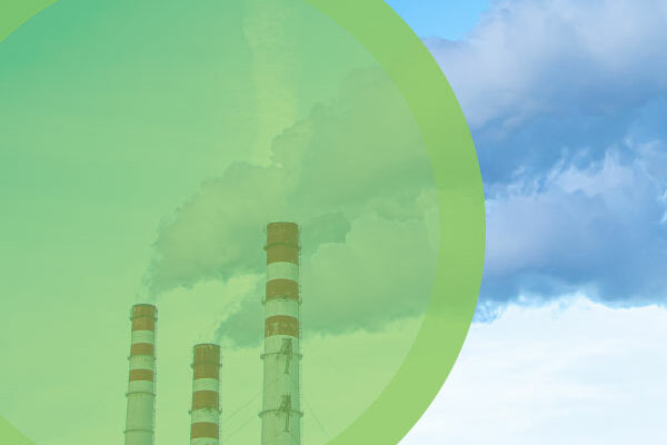 traceability in commodity trading protects against greenwashing