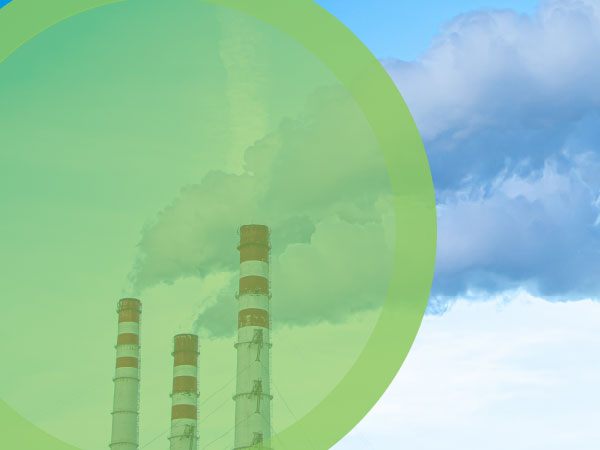 greenwashing commodity traceability traceability in commodity trading protects against greenwashing