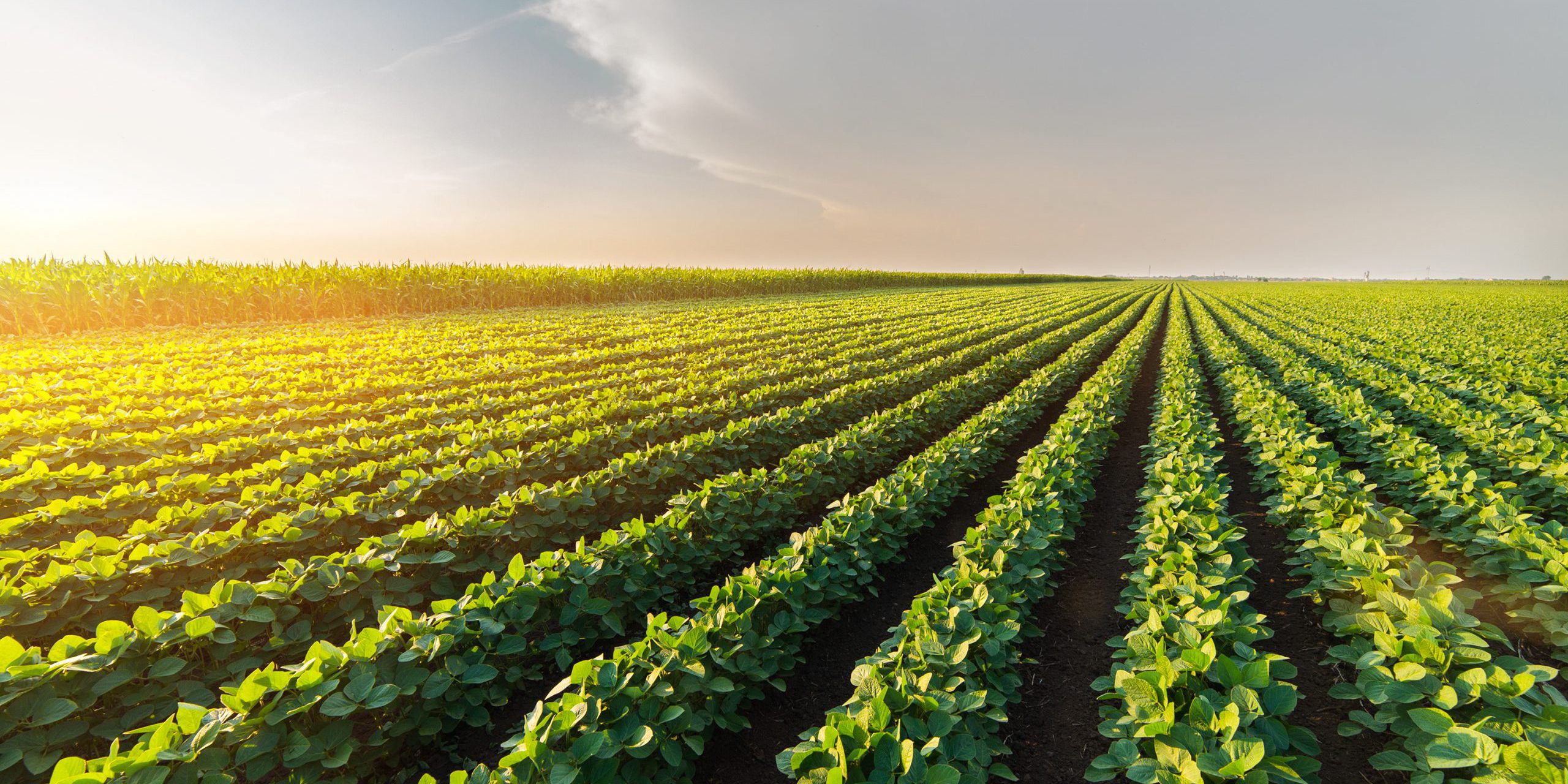 an ags ctrm should be platform-ready