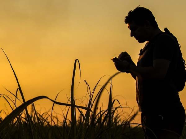 responsible sourcing in commodities